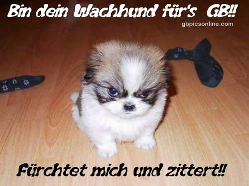 ext. Bild