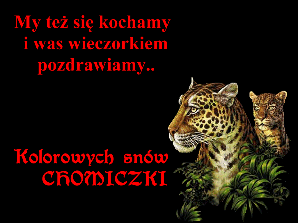 obrazek