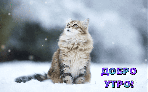 Пейзажи картинки природа сибири Пейзажи картинки природа сибири