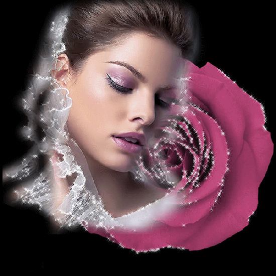 click to enter Gallery