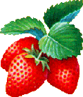 Fragole