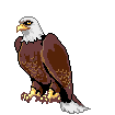 Adler Adler