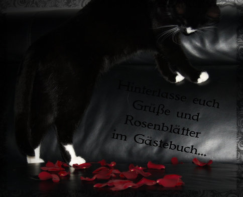 An den Beitrag angehängtes Bild: http://img20.dreamies.de/img/798/b/okrmgssz941.jpg