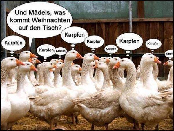 etwas zum schmunzeln lustich.de