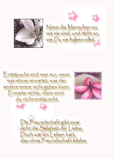 Mitglieder-Pic
